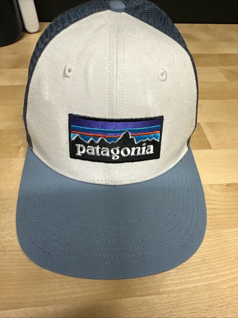 Patagonia Light Blue and White Trucker Hat with Embroidered Logo